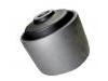 Suspension Bushing:55045-0M000