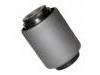 Suspension Bushing:55136-70N00