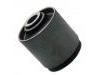 Suspension Bushing Suspension Bushing:55045-V0102