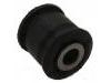 Control Arm Bushing:20251-AA010