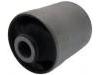 Control Arm Bushing:55216-4A000