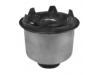 Suspension Bushing:62415-3A000