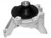 Lagerung, Motor Engine Mount:50820-SWE-T01