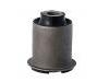 Suspension Bushing:54551-C1000