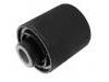 Suspension Bushing:55215-2S000